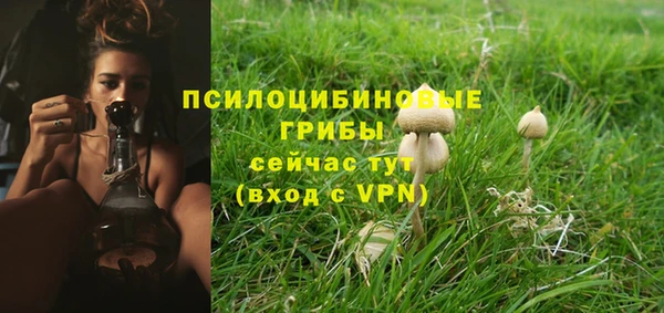 трава Алексин